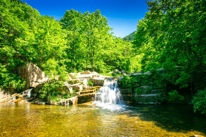 《嗨!神兽》超前点映好评如潮 口碑获赞传递治愈能量